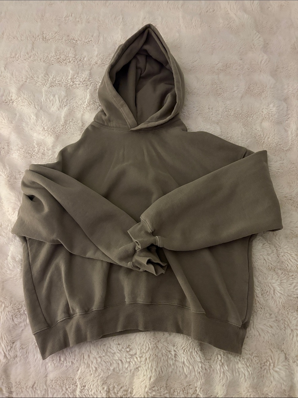 Aritzia Sweatfleece Cozy Hoodie in Sandbrown - Mega Fit (cropped back)
